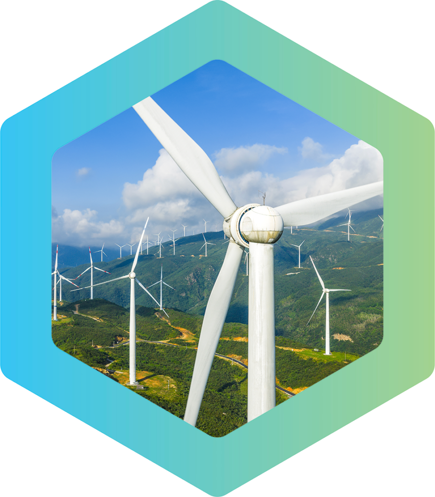 About STEM